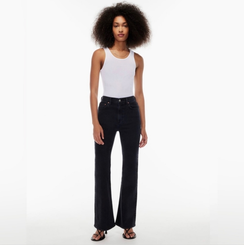 Aritzia Denim Forum The Twiggy High-rise Flare Jeans,29